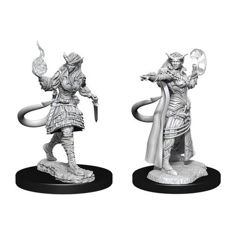 Wizkids 90304 D&D: NMU: Tiefling Sorcerer Female W15