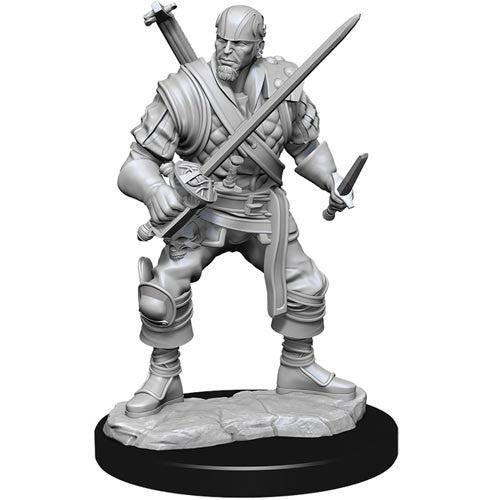 Wizkids 90306  D&D: NMU: Human Bard Male W15