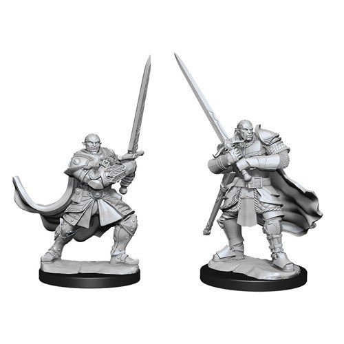 Wizkids 90307 D&D: NMU: Half-Orc Paladin Male W15