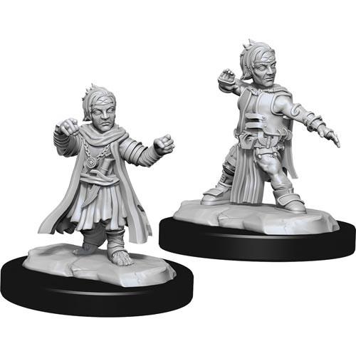 Wizkids 90328 PF: DC: Halfing Monk Male W15