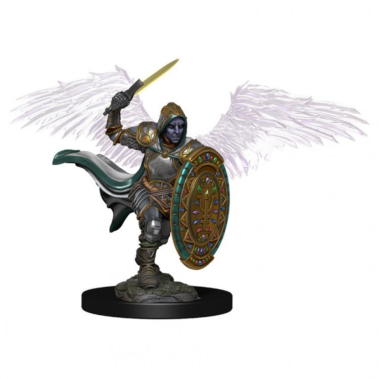 Wizkids 93007 D&D: IR: Prem: Aasimar Male Paladin