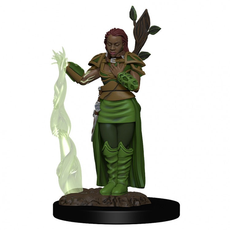 Wizkids 93009 D&D: IR: Prem: Human Female Druid