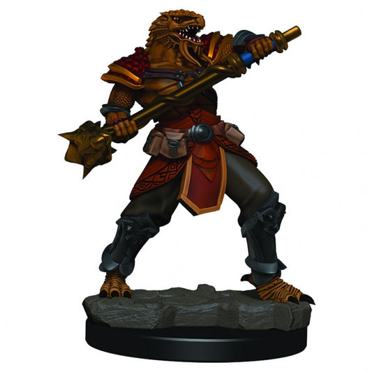 Wizkids 93015 D&D: IR: Prem: Male Dragonborn Fighter