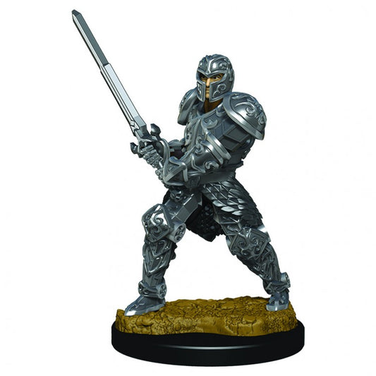 Wizkids 93017 D&D: IR: Prem: Male Human Fighter