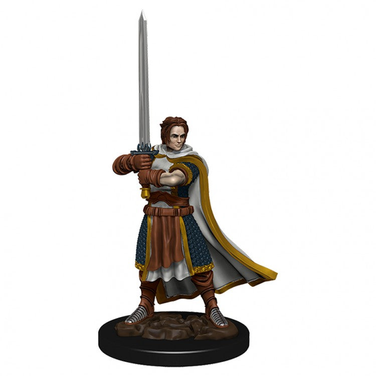 Wizkids 93023 D&D: IR: Prem: Human Cleric Male