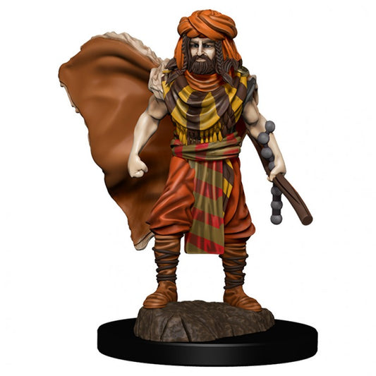 Wizkids 93031 D&D: IR: Prem: Human Druid Male