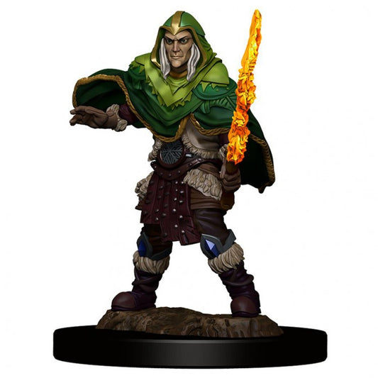 Wizkids 93039 D&D: IR: Prem: Elf Fighter Male