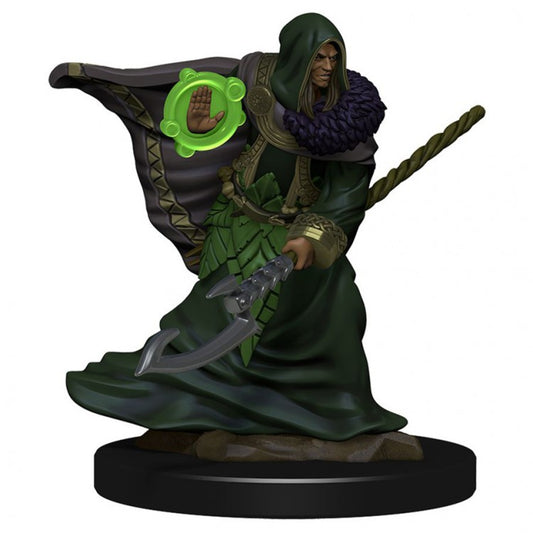 Wizkids 93040 D&D: IR: Prem: Elf Druid Male