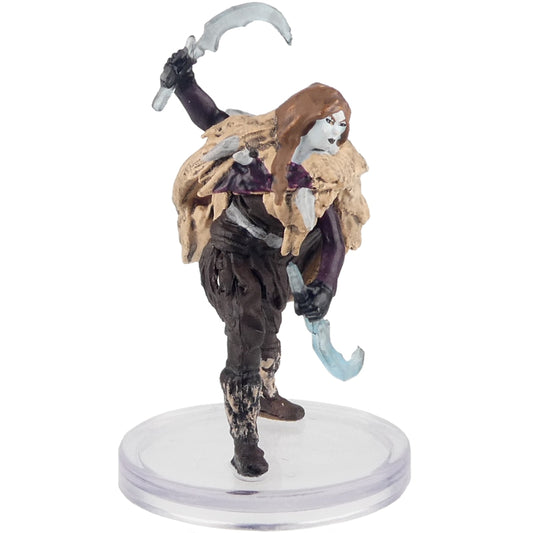 Prepainted Mini - Ravisin Snowbound