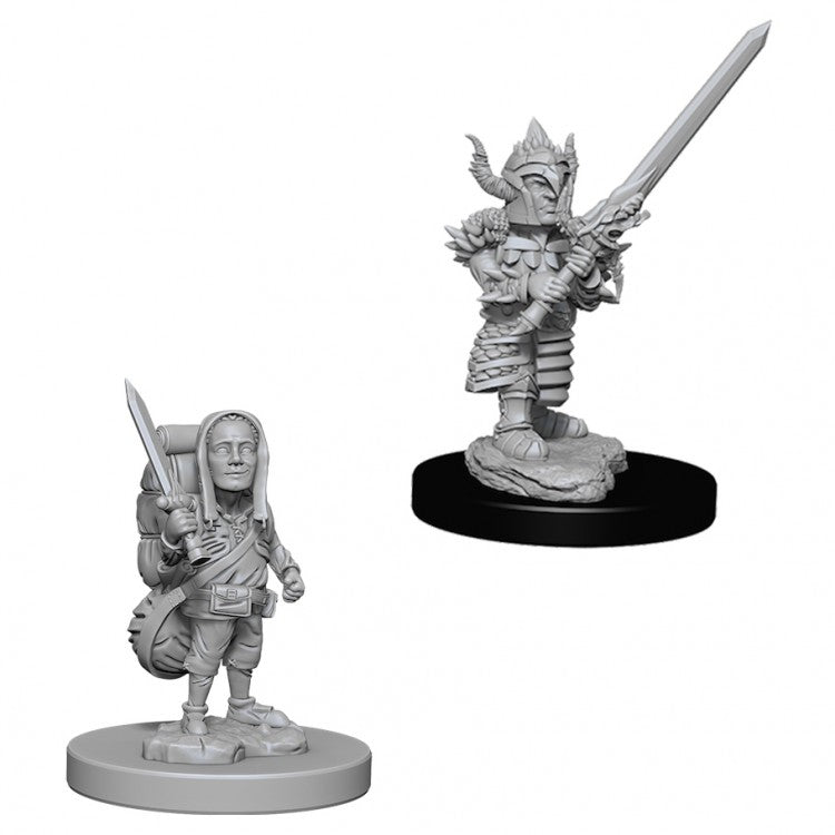  WZK73386 Male Halfling Fighter